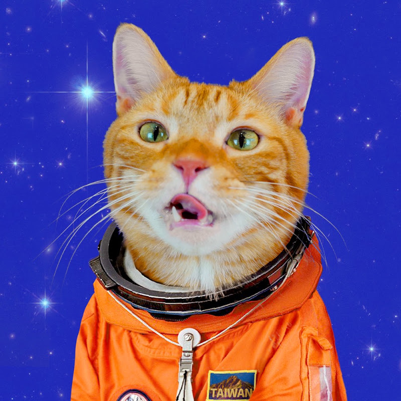 宇宙貓咪 Paw Booom YouTube 頻道頭像