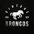Vintage Broncos