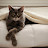 @missdemeanor2637's avatar