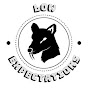 Low Expectations logo