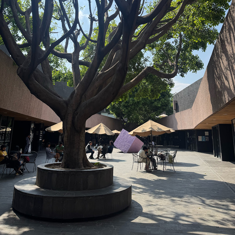 Cineteca Nacional