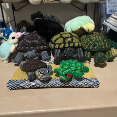 クサとミドリのゼニガメ団