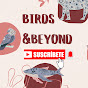 Birds & Beyond USA logo