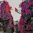 @enadSalam-c3g