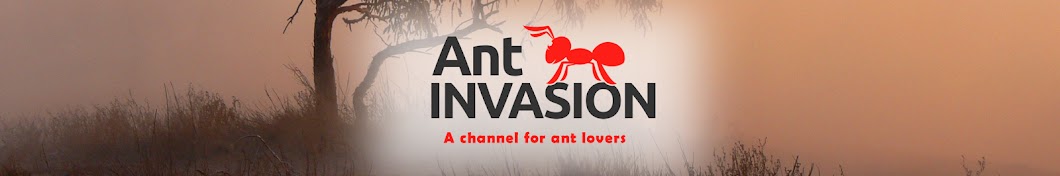 Ant Invasion رمز قناة اليوتيوب