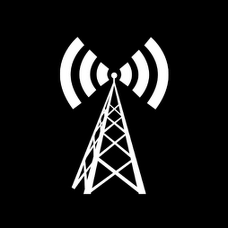The Signal News