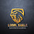 Legal Eagle India 