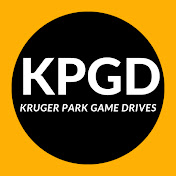 Kruger Park Game Drives