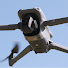 9CI23Zr43lc-channel-avatar-Lebanon Ohio Drones