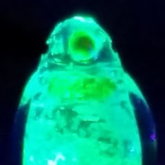 発光体アイコン画像