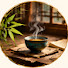 iAN35NZFuBQ-channel-avatar-礼乐文明