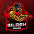 mMG48lJQIWQ-channel-avatar-Bilash Gaming