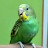 @Vinoth-by4id