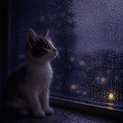 Rainy Quiet Noise