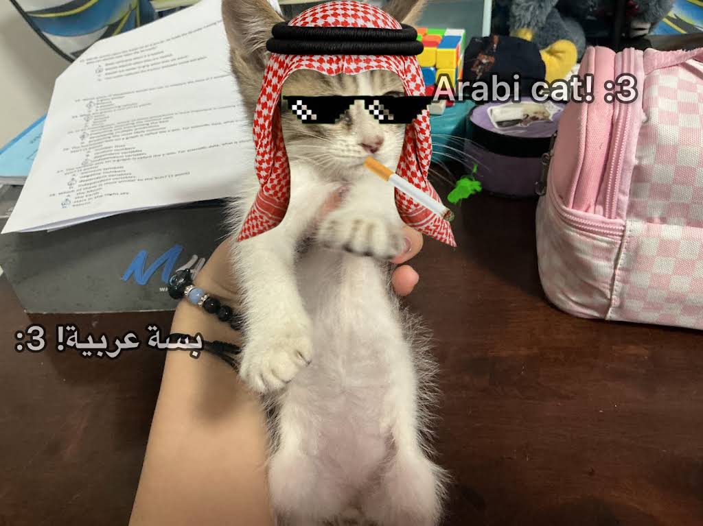 ♡YaaYa♡ Post from ꧁ 𝙻𝚘𝚟𝚎𝚛𝙾𝚏𝙹𝚊𝚡! :𝟹꧂ - YouTube