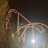 L66uUnTrC2o-channel-avatar-Theme park Adam 