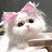 الصورة الرمزية لـ @LANA-h6i1y