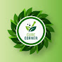 Cure Corner logo