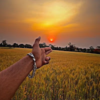 agriculture_bala profile image