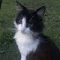 tLv5hV3nYGI-channel-avatar-𝒜𝓃𝒹𝓎 🍀