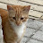 @interestingvids-hx2sq's avatar