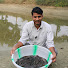 CWa29p8k0Q0-channel-avatar-Gaurav Fisheries and Aquaculture