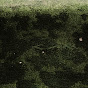 Herbs and Stones
