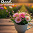 @baskarsk5596