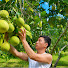 XgPcu4NWjVU-channel-avatar-Lê Hạnh