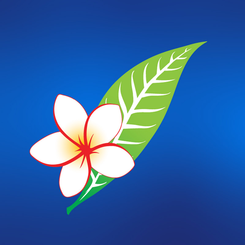 Lao Airlines icon