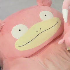 極ヤドン