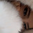 @rr.19-q6l