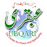 lsTuyYJcP1Y-channel-avatar-Ubqari Peer Roomi