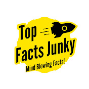 Top Facts Junky