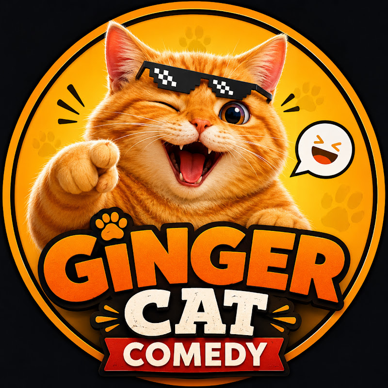 Ginger Cat Comedy