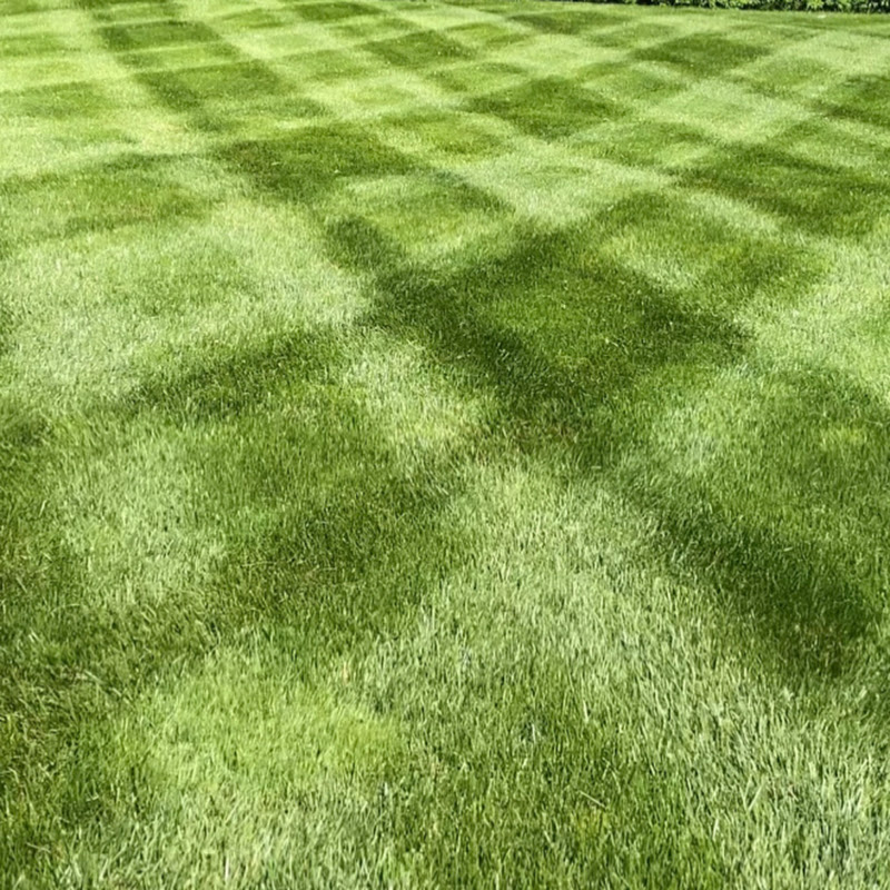 Satisfying Lawn Care Videos icon