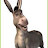 @WOOFY-t3i