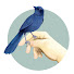 QI-cnRBoaIw-channel-avatar-MINIMUNI
