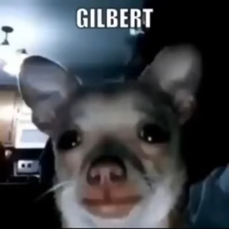 Gilbert