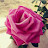 @Sara-in8gi