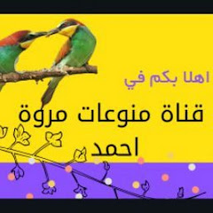 منوعات مروة احمد Marwa News channel logo
