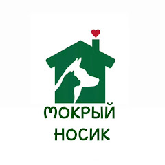 Помощь бездомным животным