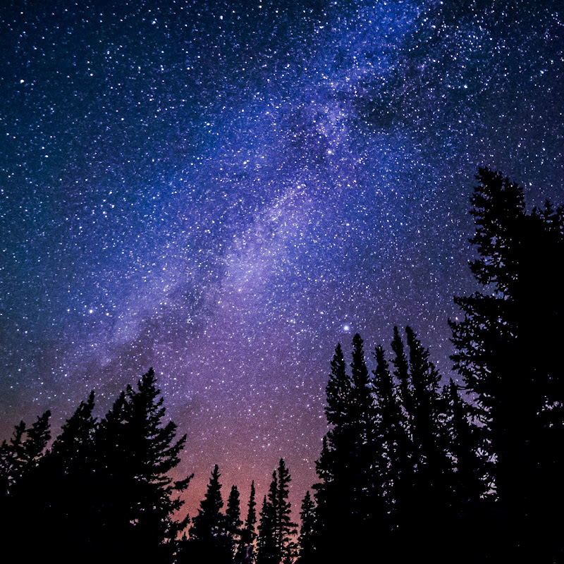 #movie #usa #basketball