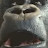 Avatar de @Random-objects-u9f