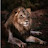 @عميدحسن-ك6ج