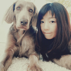 宮前真樹official    愛犬メシ　エルマーとわたしのごはん日記