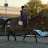 @BenlittletheEquestrian