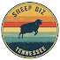 6R-H9vZGL3c-channel-avatar-Sheep Biz