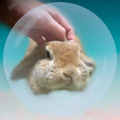とむお