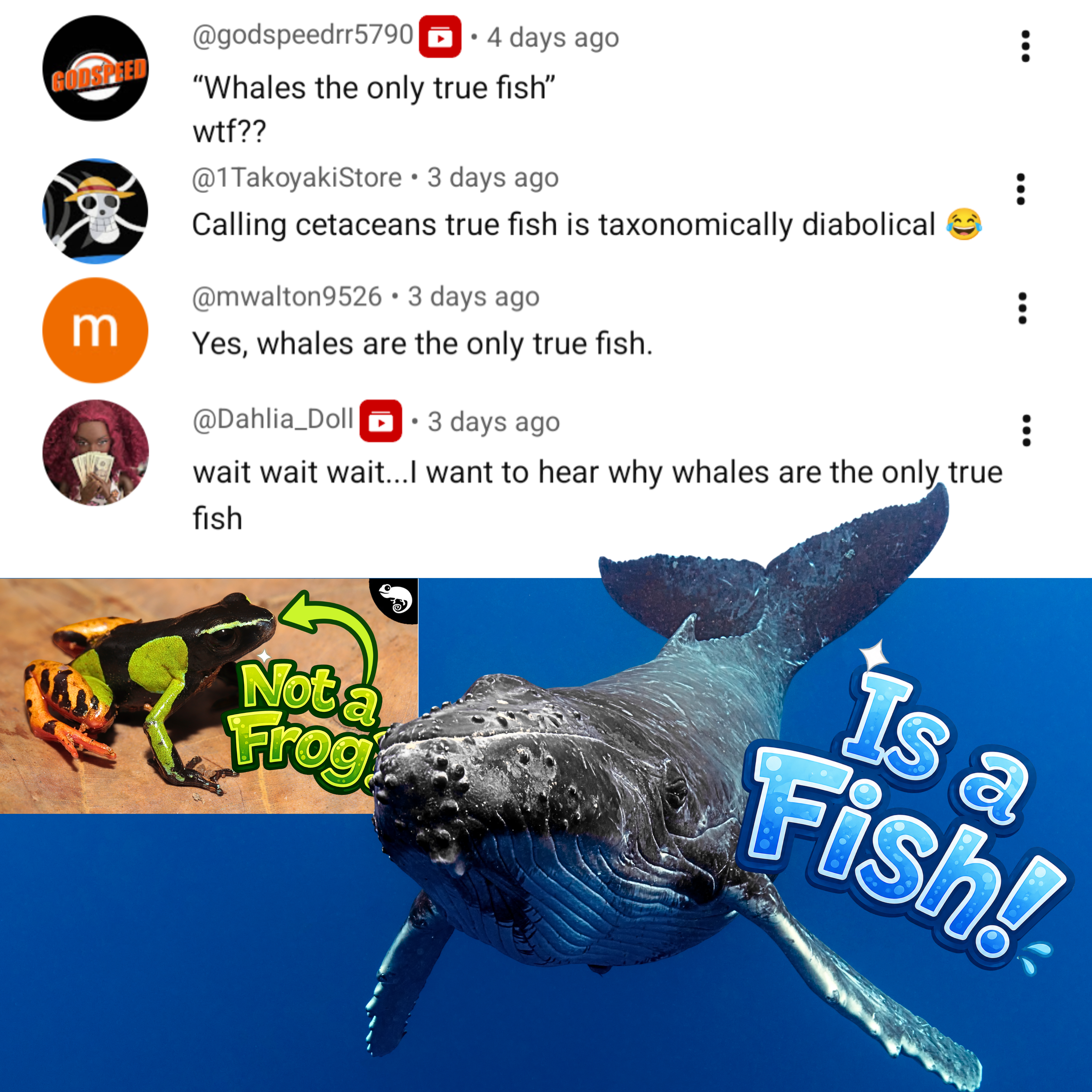 Community post